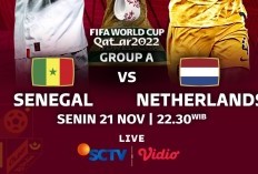 Eksklusif Link Nonton Senegal vs Belanda Piala Dunia 2022 Malam ini dii SCTV, Senin 21 November 2022 Lengkap dengan Kode Biss Key dan Cara Menggunakannya